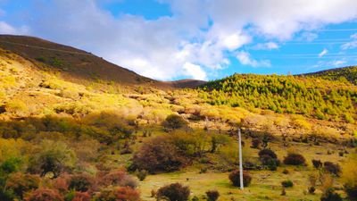 tiangao1996's profile picture. 嗯。