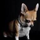 Harley Long - @20RoadKing05 - Twitter