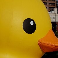 Hitoshi (@mytoproad) 's Twitter Profile