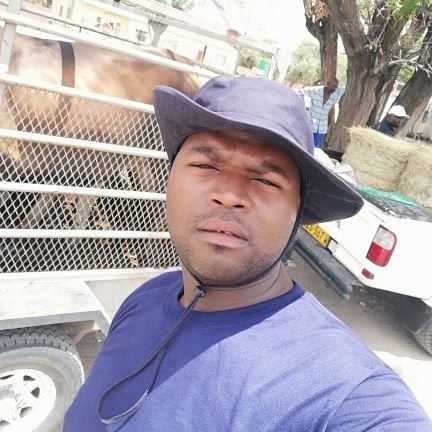 Gabrielisto's profile picture. spontaneous