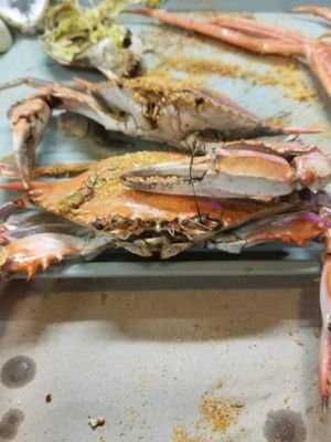 Amira10612070's profile picture. Mom, wife, teacher & dog lover