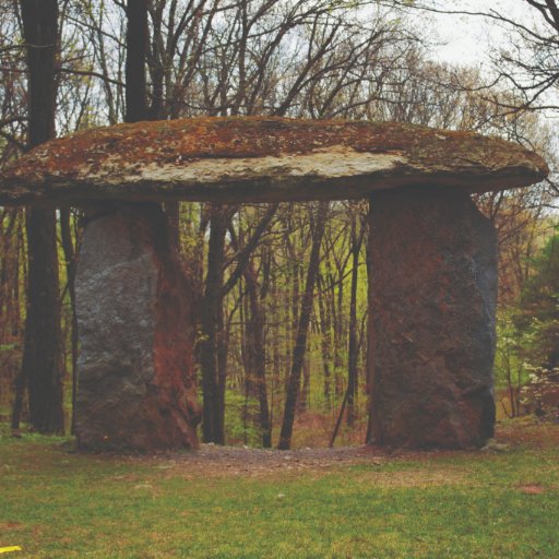 cr_pt0's profile picture. 😇🥰🐦