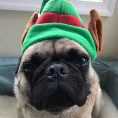 Haters gonna hate, and puggers gonna pug. Smooches over bites, and love over hate.