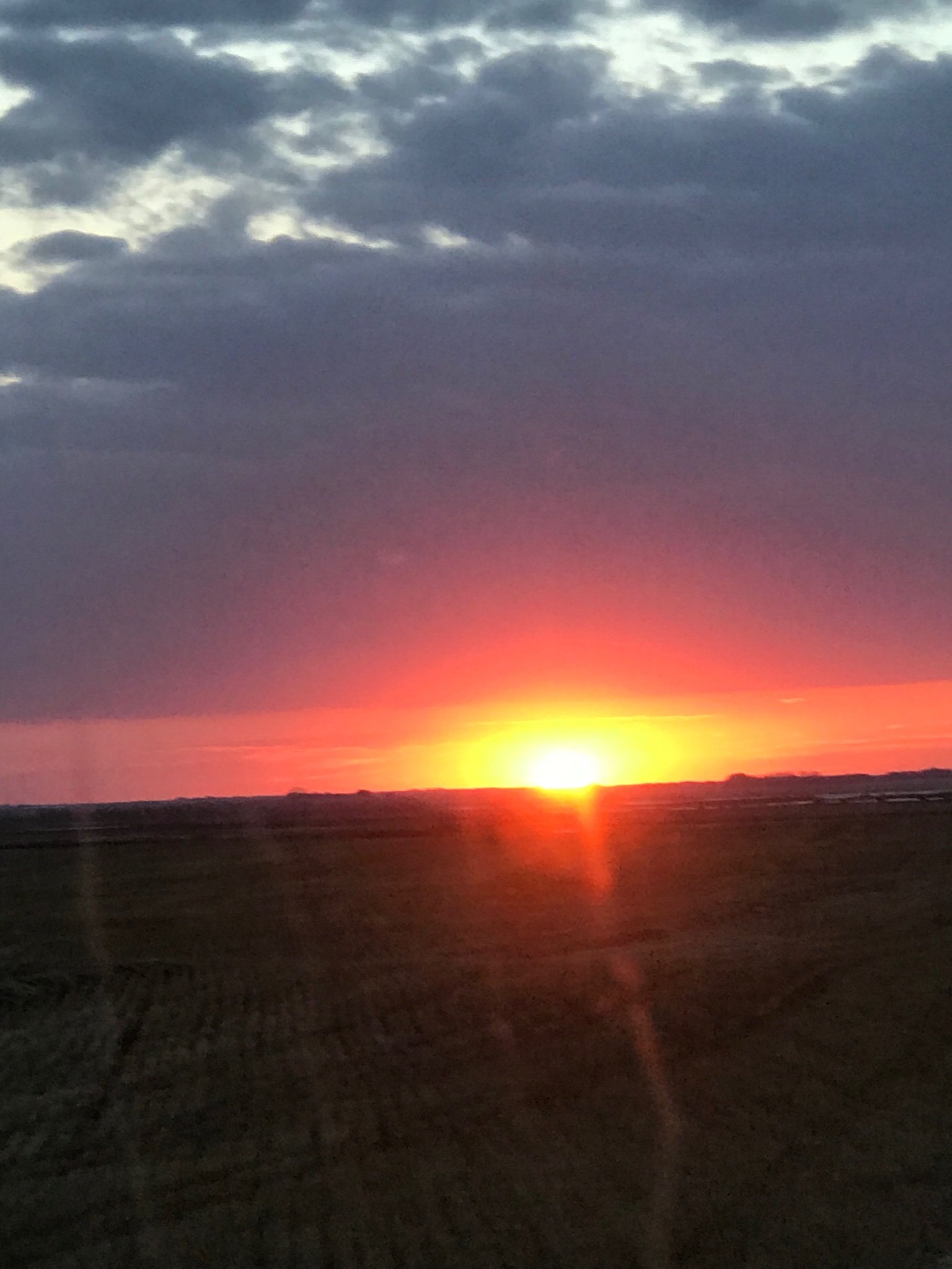 DeldeanB's profile picture. 