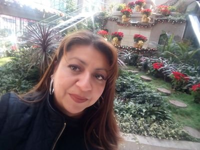 LinRoss18's profile picture. 