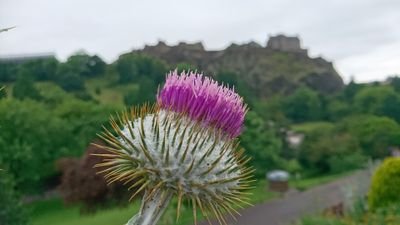 Middle aged Outlander loving, English born woman from Glasgow
