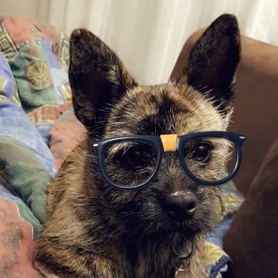 MimouLapi's profile picture. 