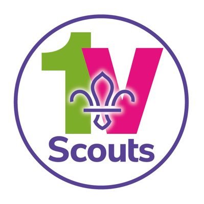 1VScouts Profile Picture