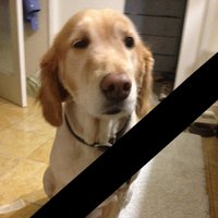 SavoirFail ๐บ๐ฆ (@savoirfail) 's Twitter Profile Photo SavoirFail ๐บ๐ฆ (@savoirfail) 's Twitter Profile Photo