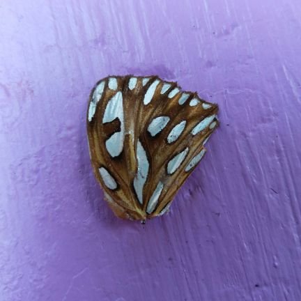 Meg_Balzer's profile picture. Profile art by Nadje Calice