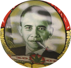 ervaboa's profile picture. Caá-y Yarí-i, Pachira, officinalis, Lysimachia nummularia, Elodea