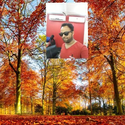 AdityaChaudhary186@gmail.com