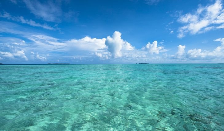 Vodkacannon's profile picture. 