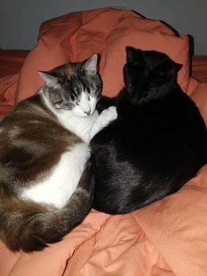 Axtod2's profile picture. Enamorada de la vida, porque es no parar 😍 
#LaVidaEsBella #Pasión #Vida #TÚ #Sonrisa  😊 #Menkanta