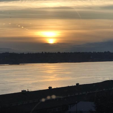 DivelleMStacy's profile picture. 