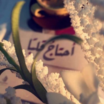 raheel3331 Profile Picture