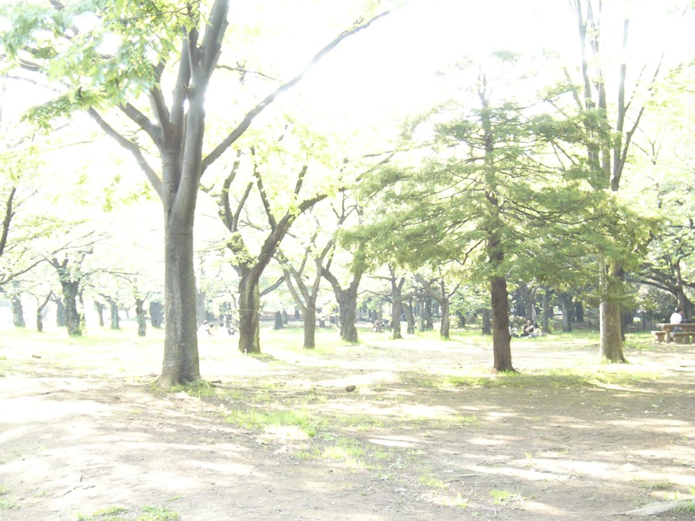 yn5286's profile picture. オトコ 40代