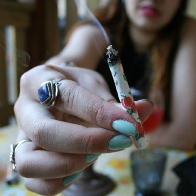 trishapolicas's profile picture. anything goes