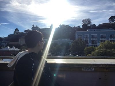 FeReq3399's profile picture. Don't mind me, I'm dumb