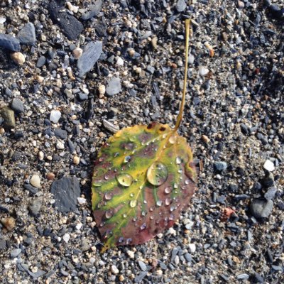 sel_harrington's profile picture. 