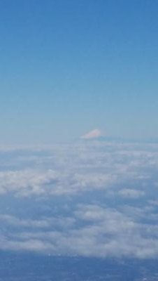 traveler917's profile picture. 