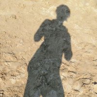 Karine Le Roch (@karineleroch) 's Twitter Profile Photo Karine Le Roch (@karineleroch) 's Twitter Profile Photo