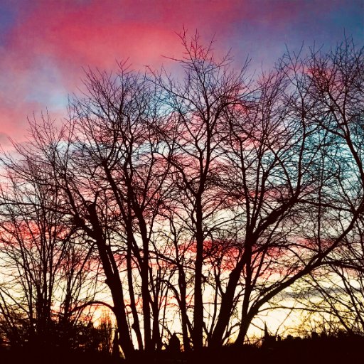 BibekBBM's profile picture. Altruist, extremely positive. Views are personal. Likes and RTs are not endorsements.