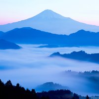 ことね (@kotone27149) 's Twitter Profile