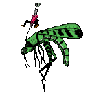 juan reyes chavez - @XxguiferxX - Twitter