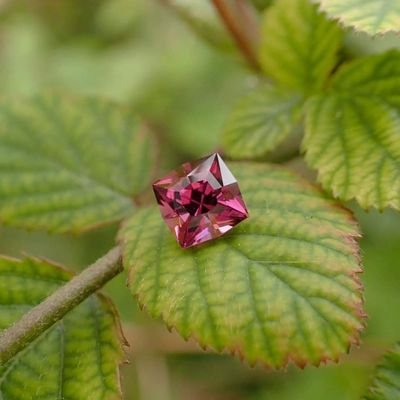 Hellofeds's profile picture. 