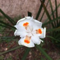 CameyM (@cameym2) 's Twitter Profile