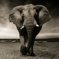 のな (@3men_y) Twitter profile photo