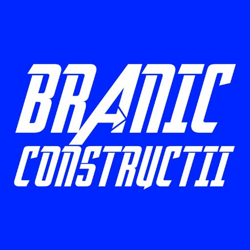 braniconstruct's profile picture. 