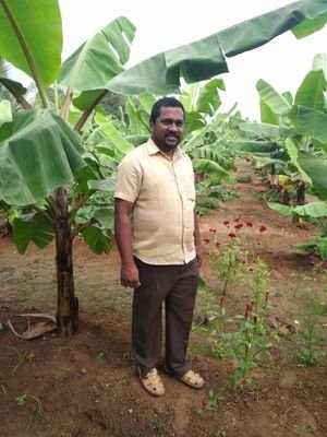 Sankar73036013's profile picture. 