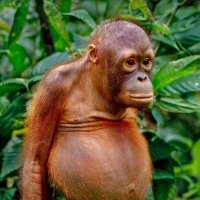 Peter (@petmm2) 's Twitter Profile