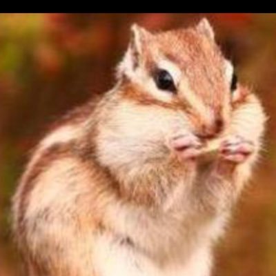 naokoki2's profile picture. もっともっと北山くんを応援したい🍒