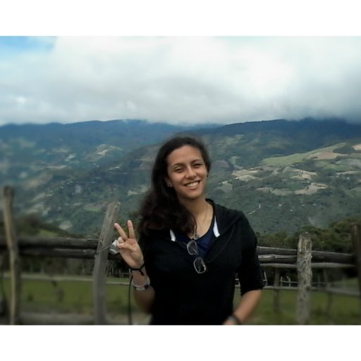 SIArenasM's profile picture. EFL Teacher, Translator, Content Writer and Web Development Student.