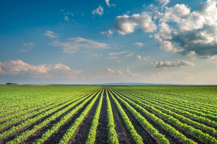 WV-based initiative for the education, preservation and conservation of farmlands & future farmers. 
https://t.co/dRLtaJlUNX