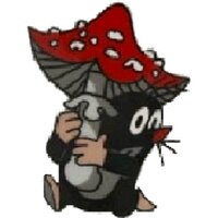 kinoco (@kinocoforest) 's Twitter Profile