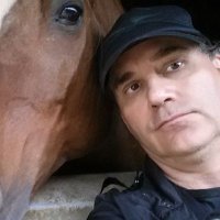 David Serp (@david33345064) 's Twitter Profile