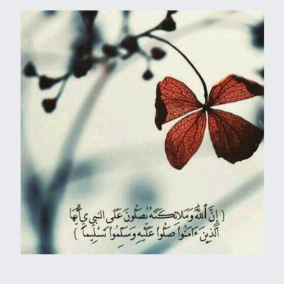 melfy_almoteri's profile picture. 