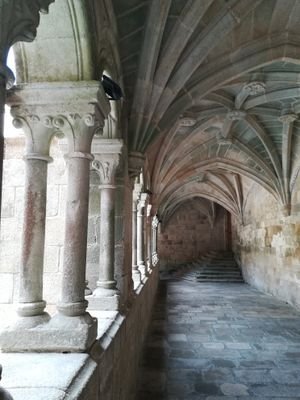 balors17's profile picture. 