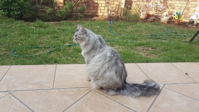 Bashby Profile