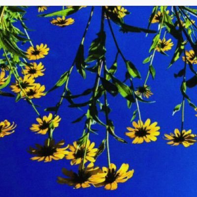 xdsourtaste's profile picture. 