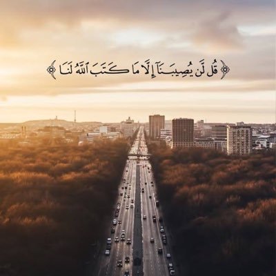 badr14061hotmai's profile picture. 