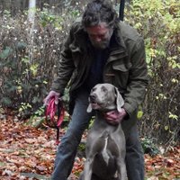 Grey Hound (@vamudara) 's Twitter Profile