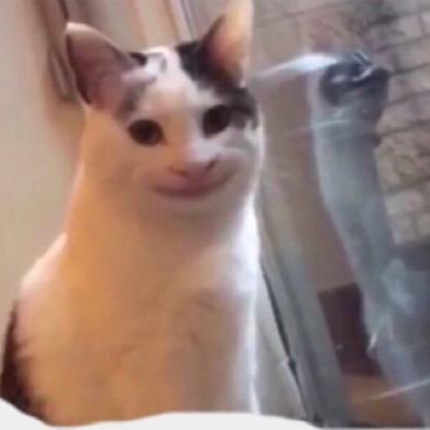 iLeonardao's profile picture. ٰ