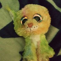 Stephanie Salazar (@stephan23087383) 's Twitter Profile