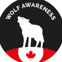 Wolf Awareness is a non-profit (charity # 119301851 RR0001  ) dedicated to improving tolerance and promoting coexistence among humans and wolves.