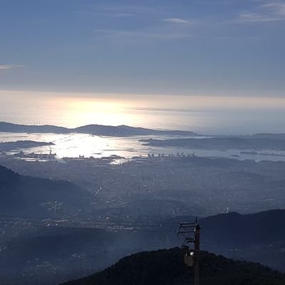 Cazo67613140's profile picture. 